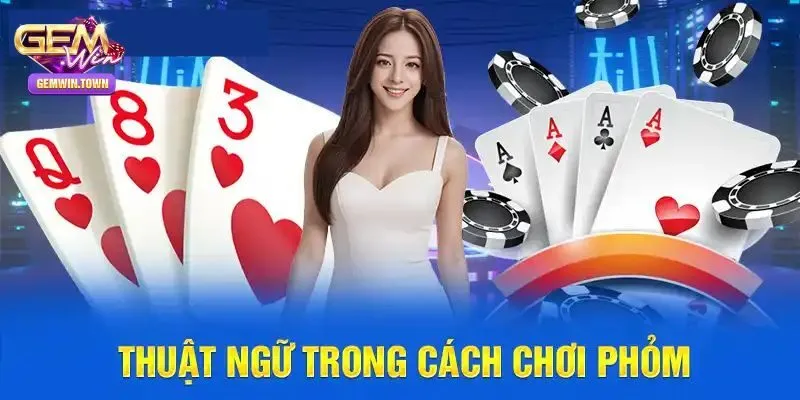 Các thuật ngữ được dùng trong bài phỏm
